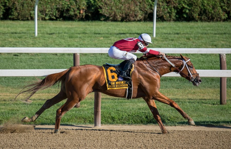 Thoroughbreds racing down the straight